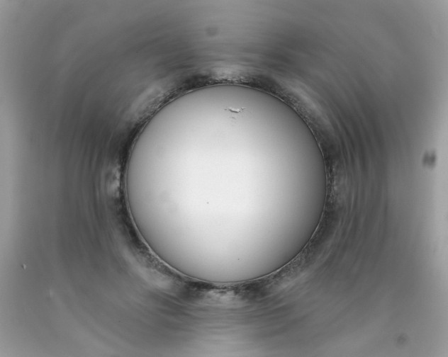 X0000090420502200707272114