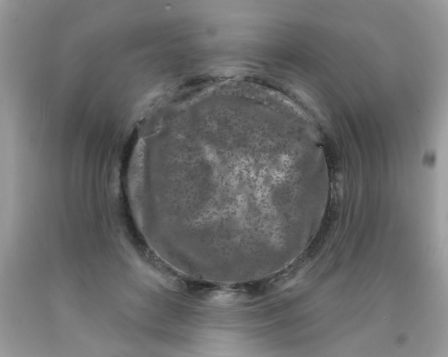 X0000090420504200707272113