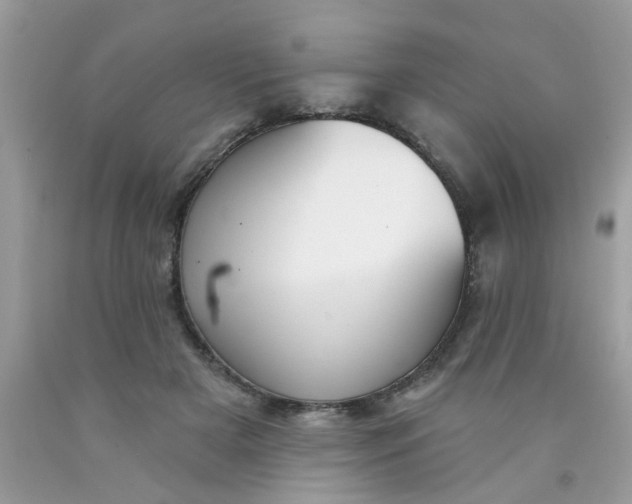 X0000090420505200707272113