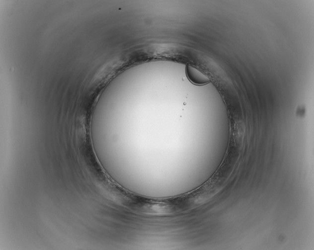 X0000090420506200707272113