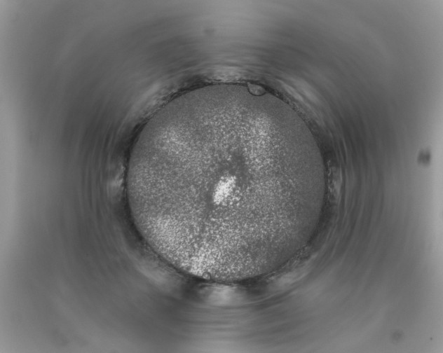 X0000090420507200707272113