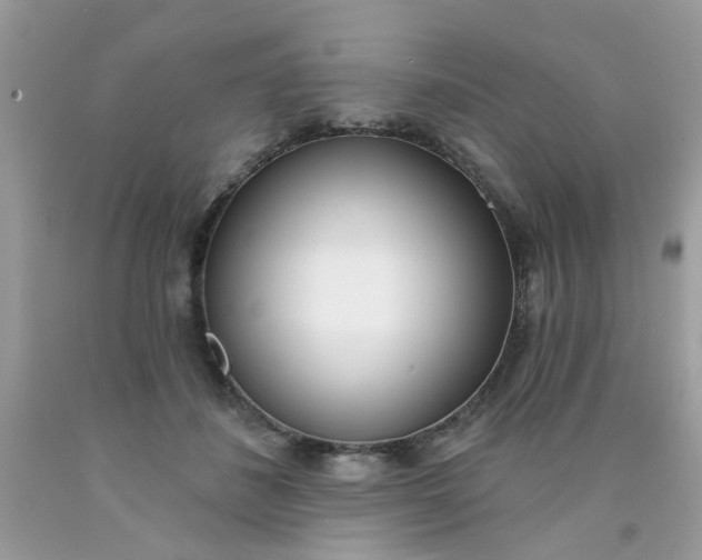 X0000090420508200707272113