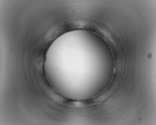 X0000090420509200707272113