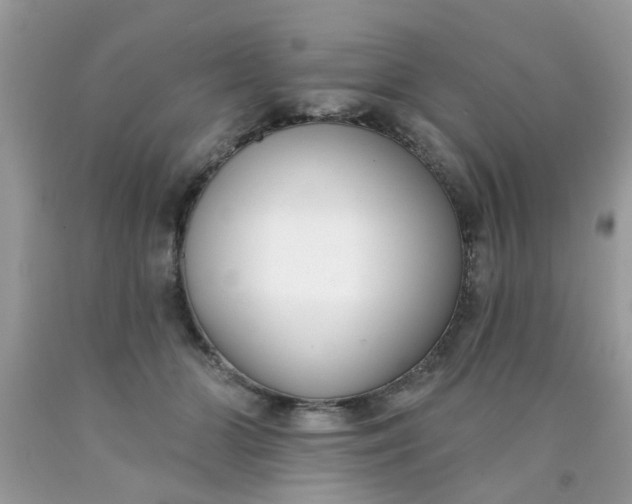 X0000090420510200707272113