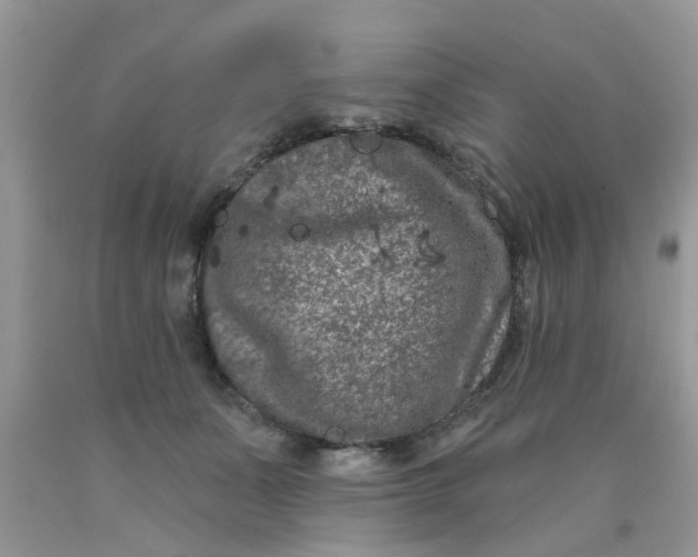 X0000090420511200707272113