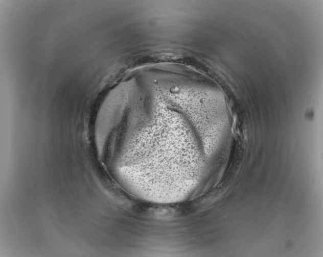 X0000090420512200707272113