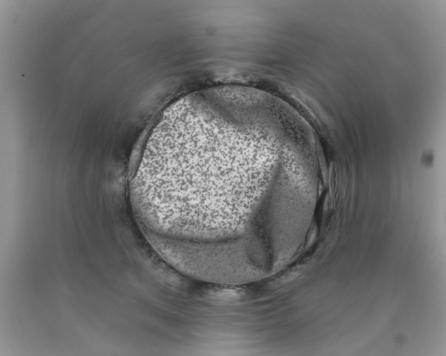 X0000090420513200707272113