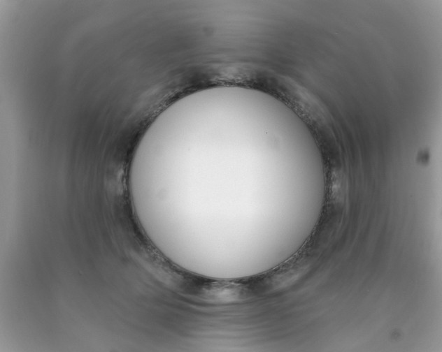 X0000090420514200707272113