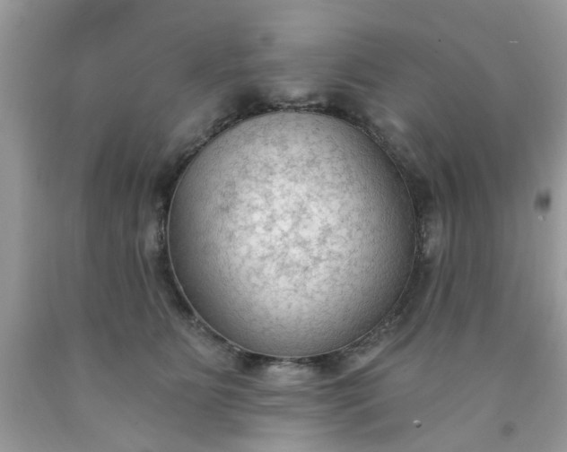 X0000090420515200707272113