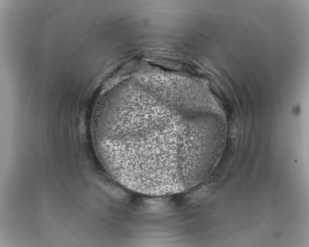 X0000090420516200707272113