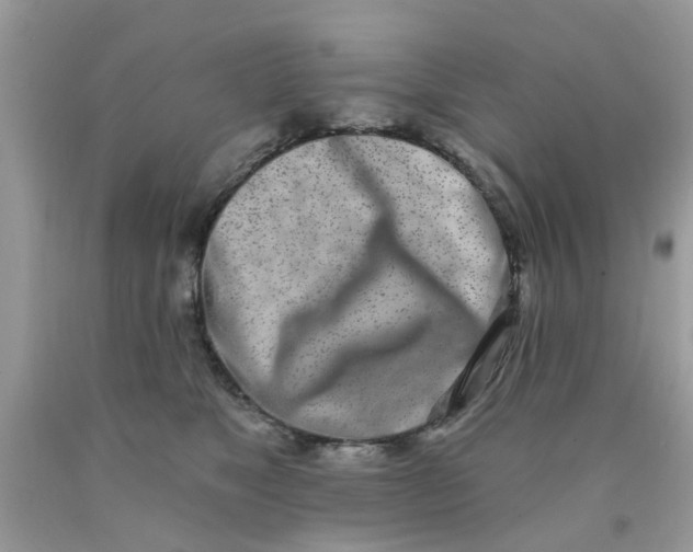 X0000090420517200707272113