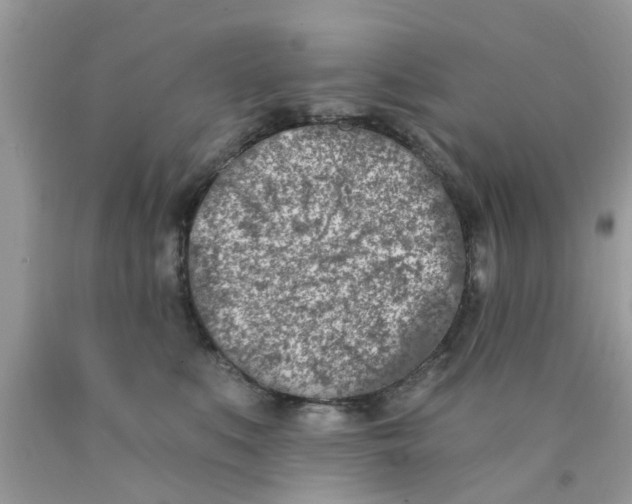 X0000090420519200707272113