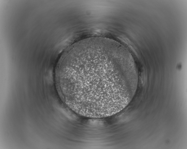 X0000090420520200707272113