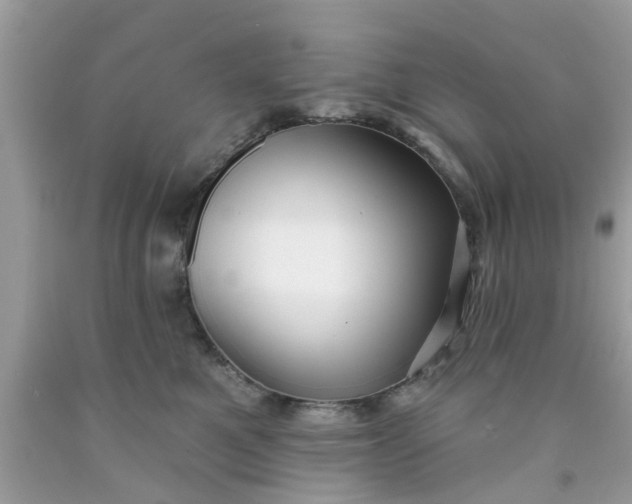 X0000090420521200707272113