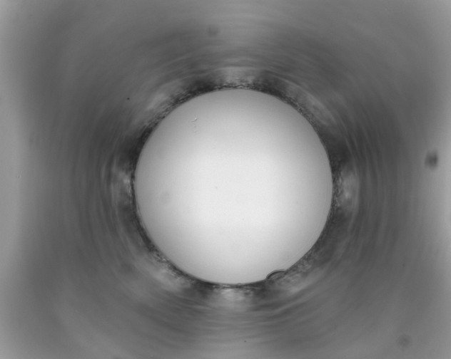 X0000090420522200707272113