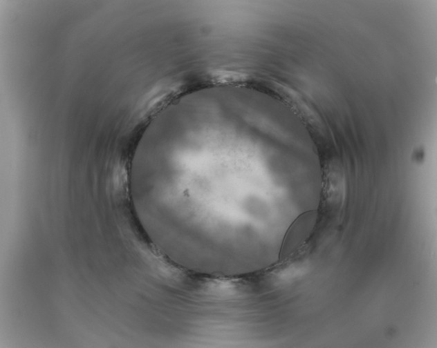 X0000090420523200707272113