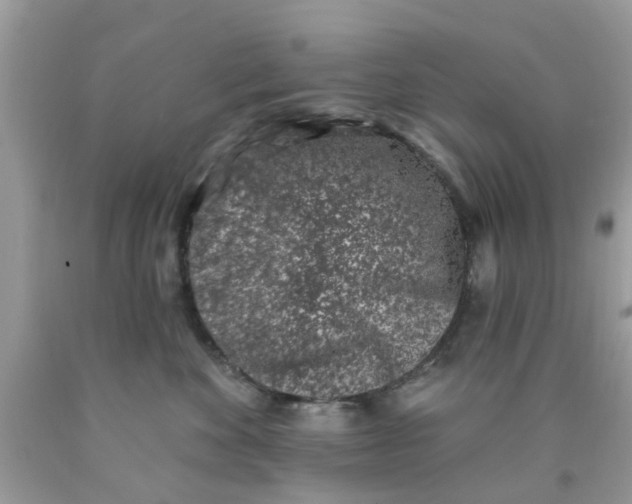 X0000090420524200707272113