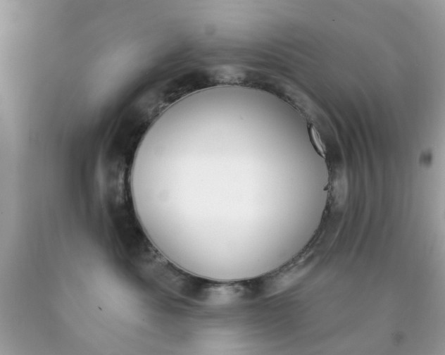 X0000090420525200707272113