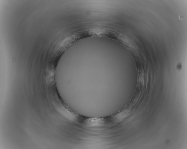 X0000090420526200707272113