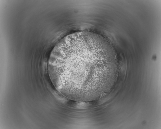 X0000090420527200707272113