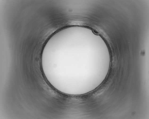 X0000090420529200707272112