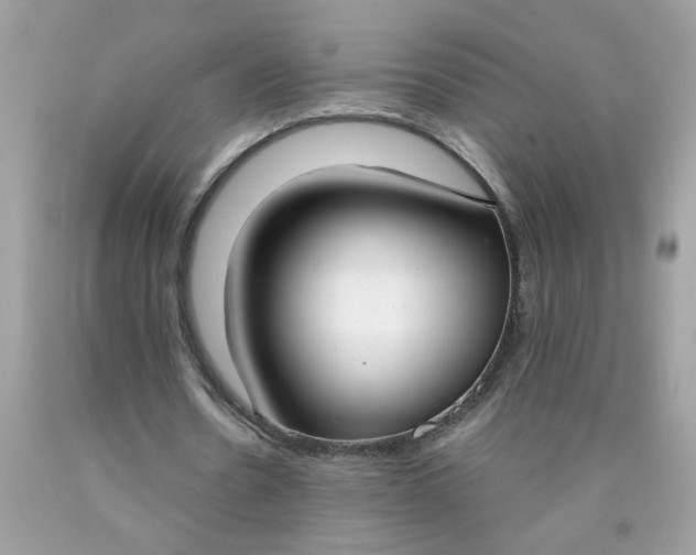 X0000090420530200707272112