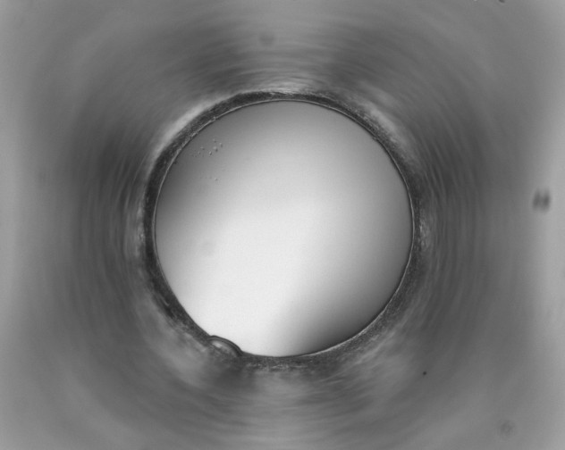 X0000090420532200707272112