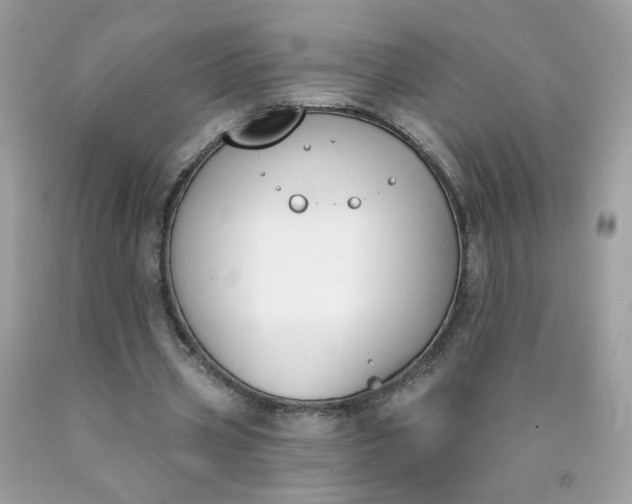 X0000090420533200707272112