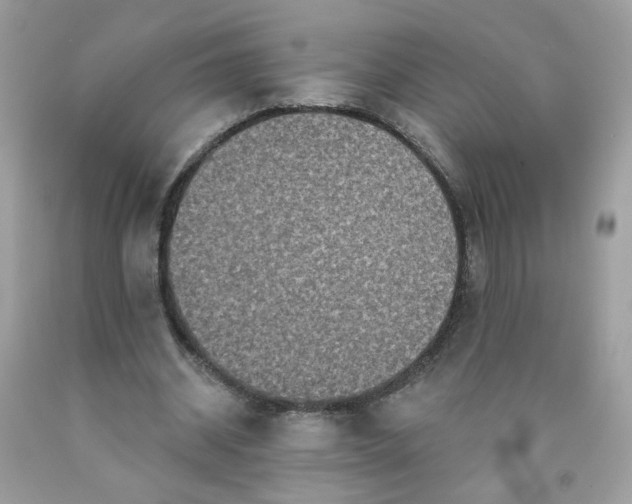 X0000090420534200707272112