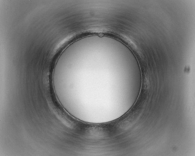 X0000090420535200707272112