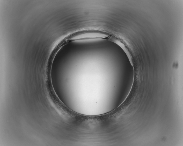 X0000090420536200707272113