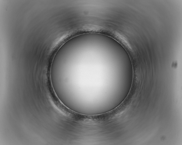 X0000090420538200707272113