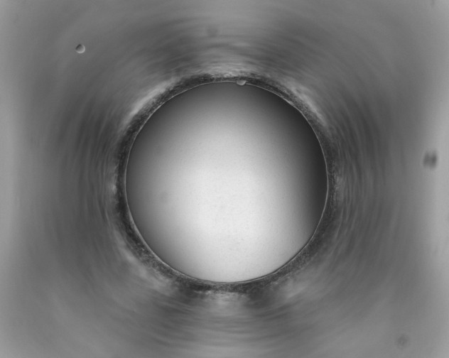 X0000090420539200707272113