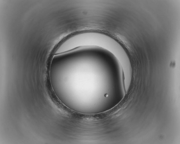 X0000090420540200707272113