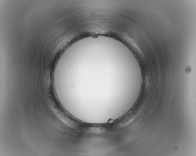 X0000090420541200707272113