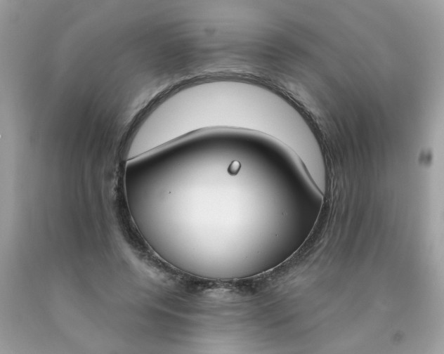 X0000090420544200707272113