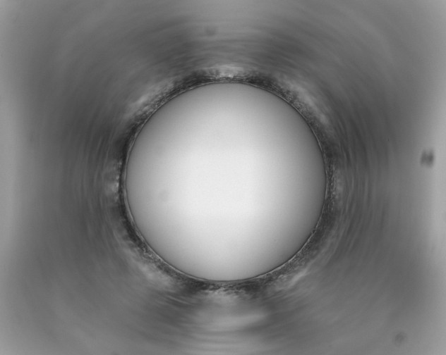 X0000090420545200707272113