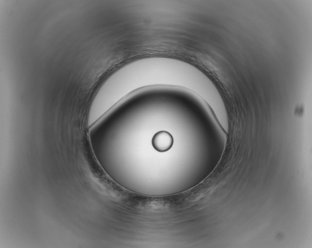 X0000090420546200707272113