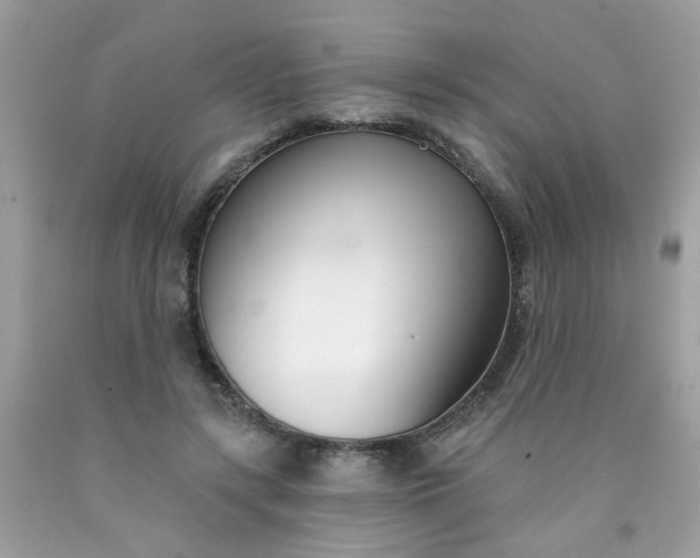 X0000090420547200707272113