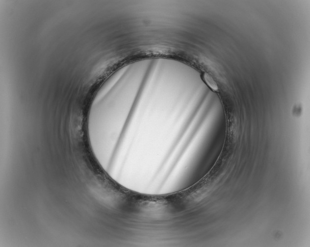 X0000090420548200707272113