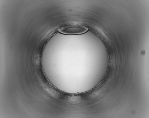 X0000090420549200707272113