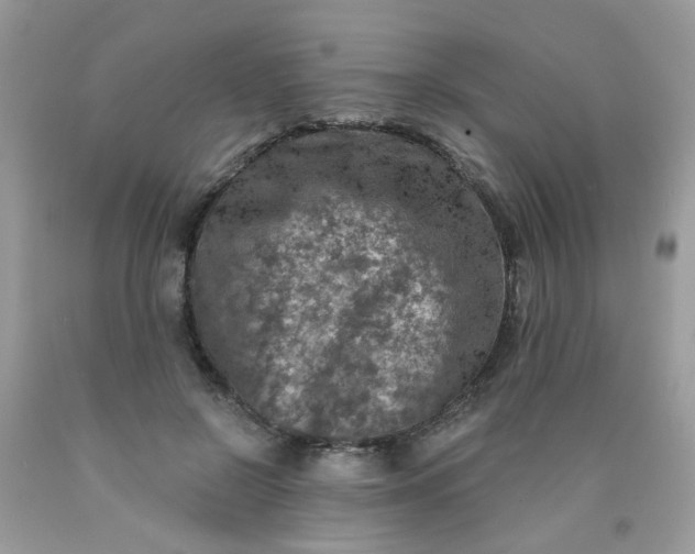 X0000090420550200707272113