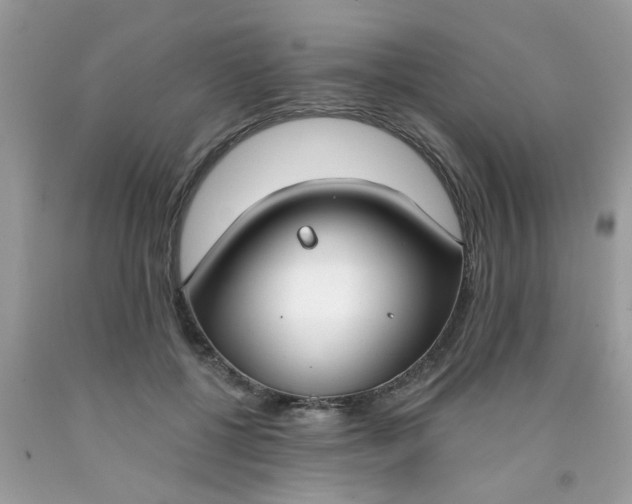 X0000090420552200707272113