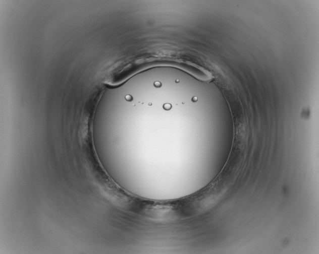 X0000090420554200707272113