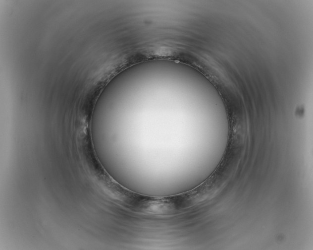 X0000090420555200707272113