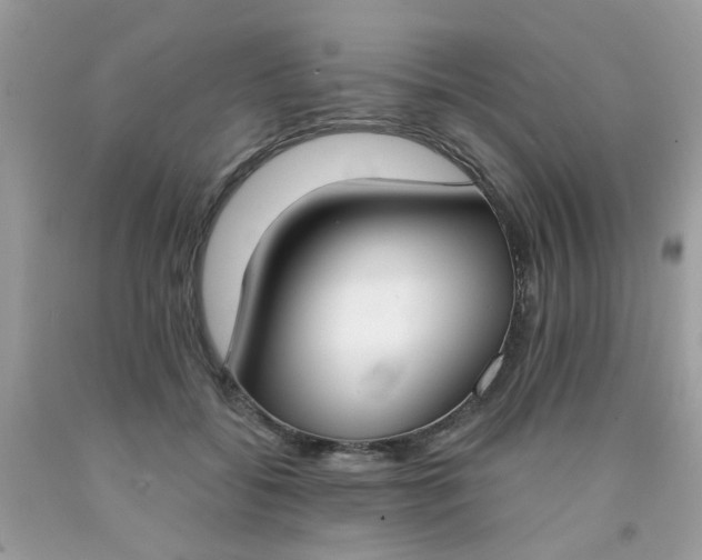 X0000090420556200707272113