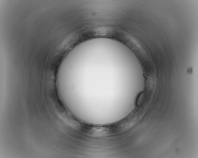 X0000090420557200707272113