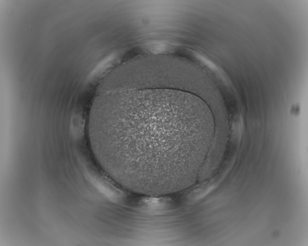 X0000090420558200707272113