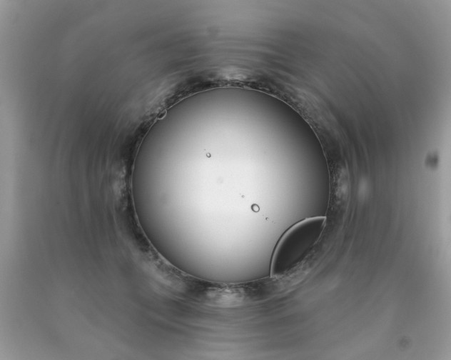 X0000090420559200707272113