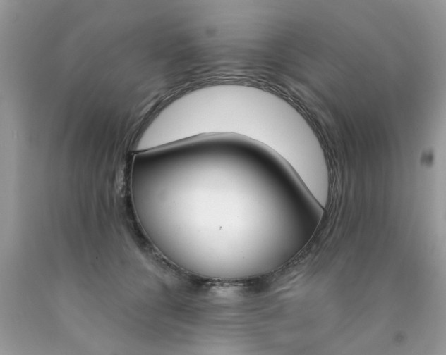 X0000090420560200707272113